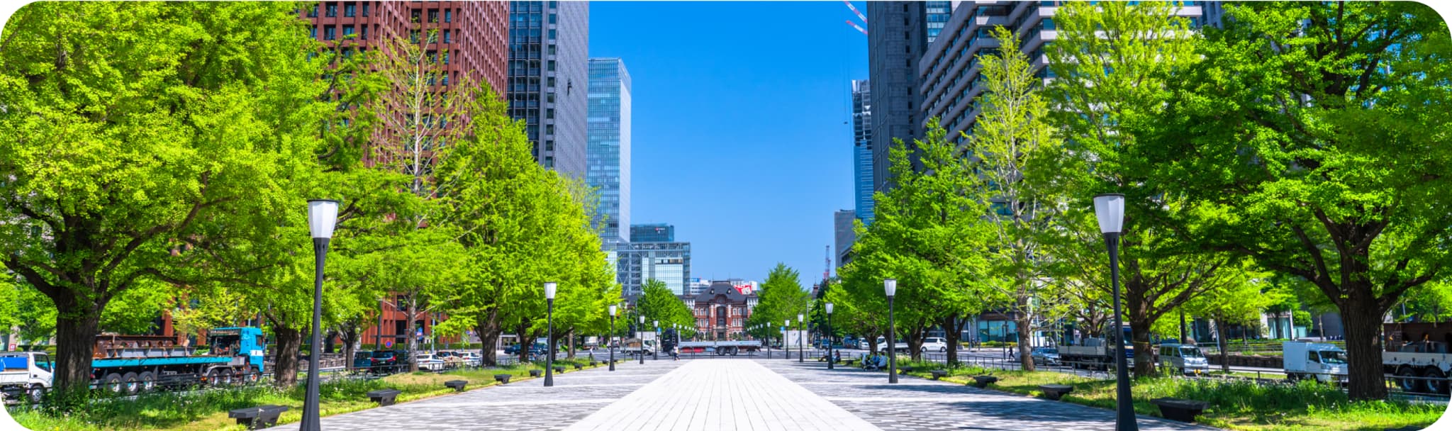 東京駅前の緑とビル群の風景